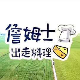 詹姆士出走料理——电视剧离婚律师下载